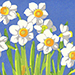 Minoru Yamamoto Gallery